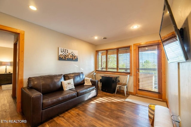 living room featuring hardwood / wood-style flooring