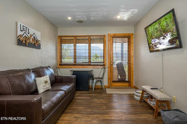 living room with dark hardwood / wood-style flooring