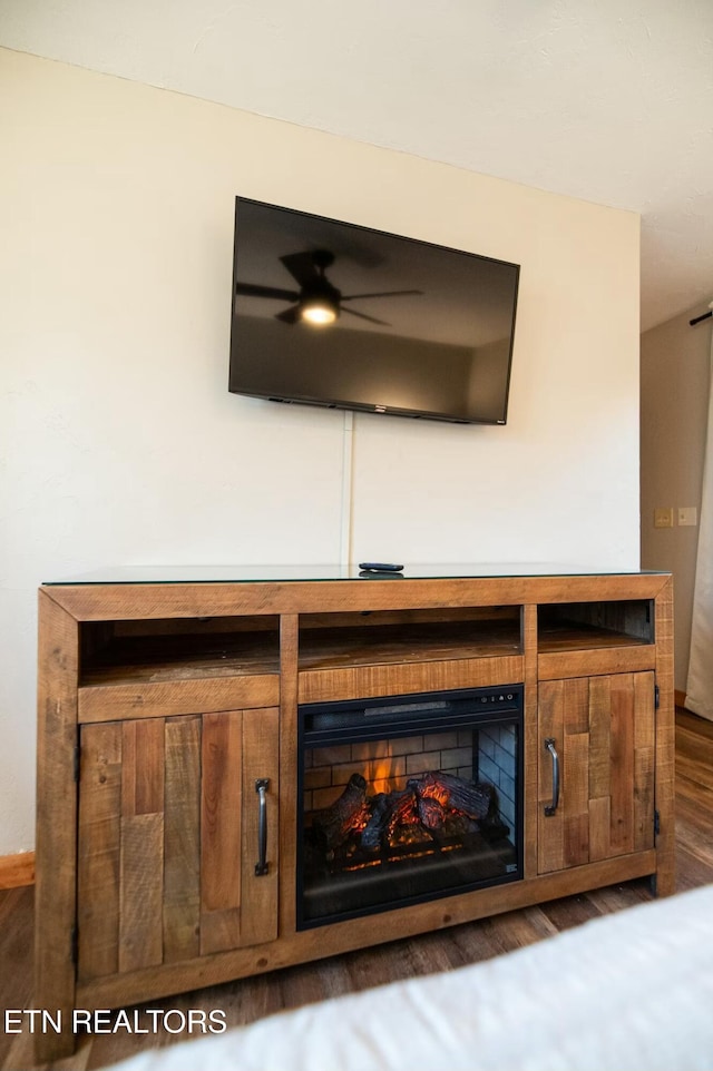 room details with hardwood / wood-style floors and ceiling fan