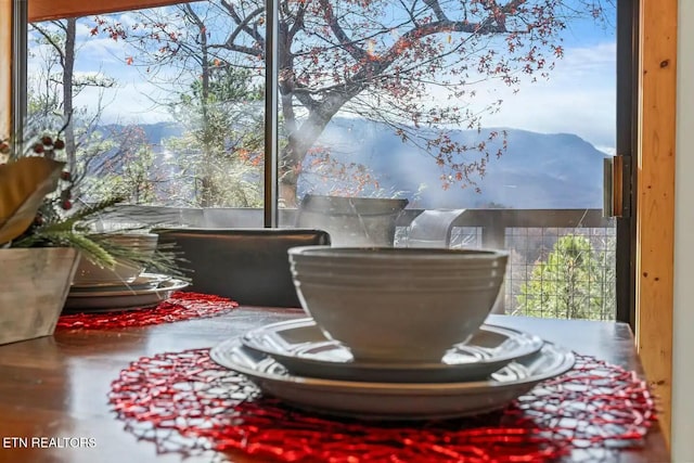 room details with a mountain view