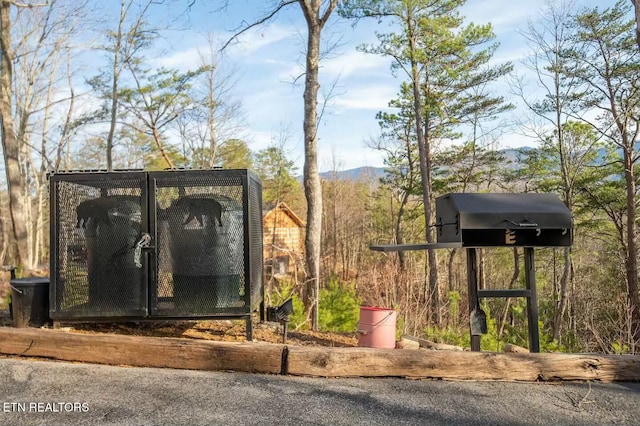 exterior space featuring a mountain view