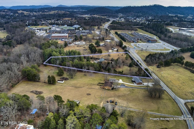 drone / aerial view with a mountain view