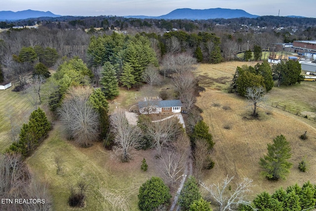 birds eye view of property featuring a mountain view