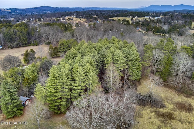 bird's eye view featuring a mountain view