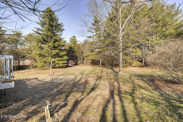 view of yard featuring a shed