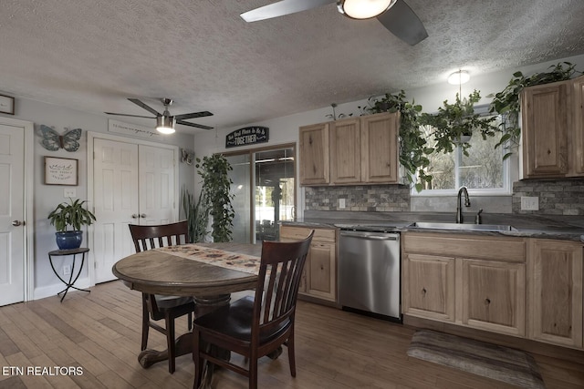 kitchen featuring ceiling fan, stainless steel dishwasher, light hardwood / wood-style floors, and sink