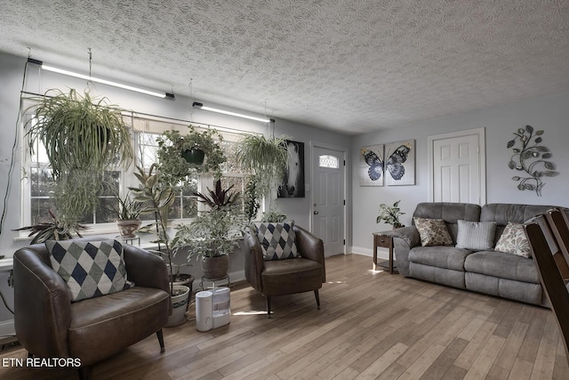 living room with wood-type flooring and a textured ceiling