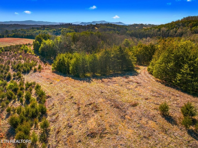 LOT6 Lonesome Pine Rd, Bybee TN, 37713 land for sale