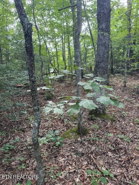 0 Cumberland Lakes Dr, Monterey TN, 38574 land for sale