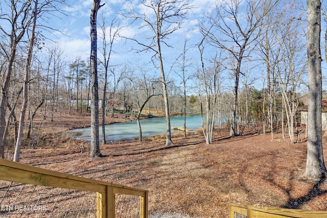 view of yard with a water view