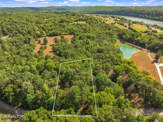 772 Little Dogwood Rd, Kingston TN, 37763 land for sale