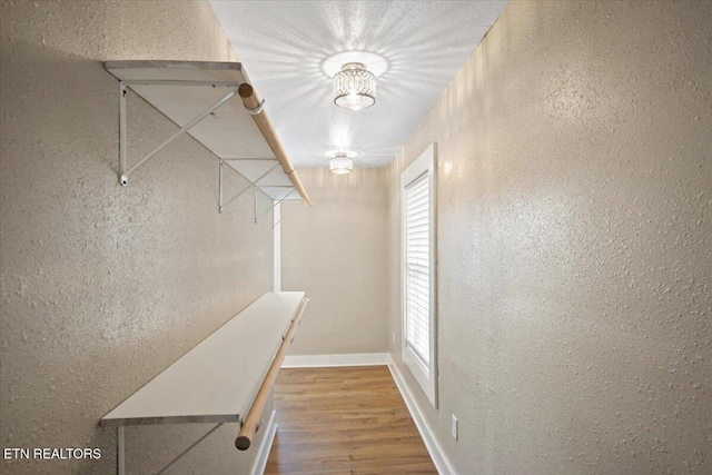 1231 Jefferson Ave, Maryville, TN 37804 - spacious closet featuring wood finished floors