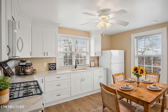 1231 Jefferson Ave, Maryville, TN 37804 - kitchen with light wood-style floors, a wealth of natural light, white appliances, and a sink