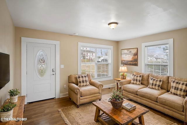 1231 Jefferson Ave, Maryville, TN 37804 - living room with baseboards and wood finished floors