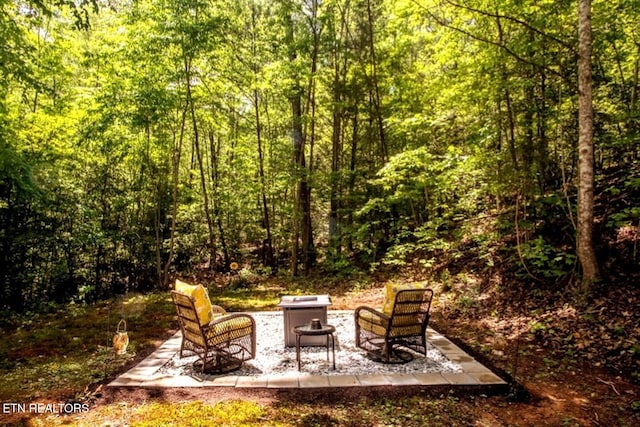 view of yard featuring a patio area