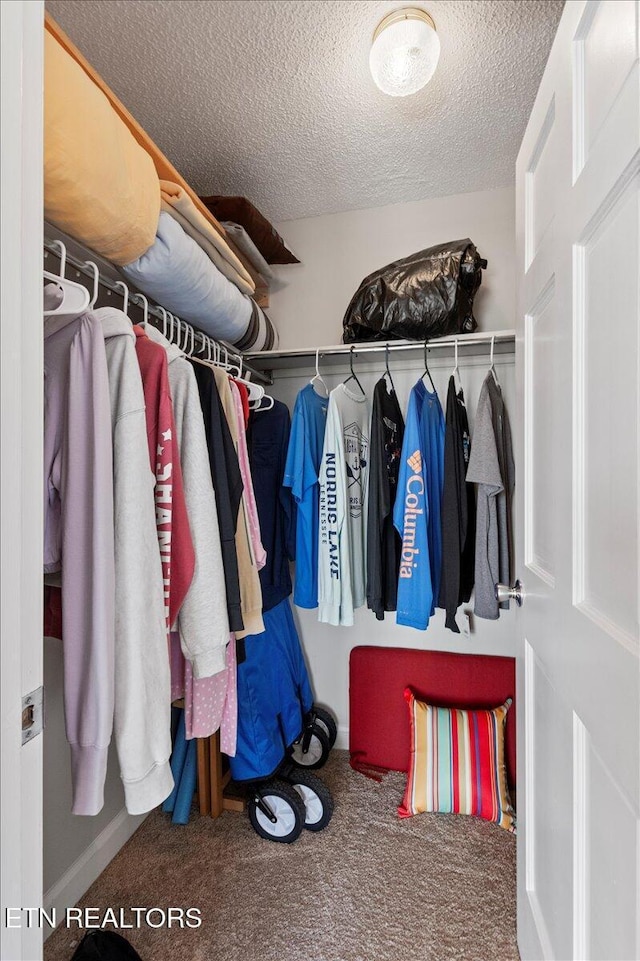 walk in closet with carpet flooring