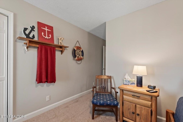 living area with carpet floors and a textured ceiling