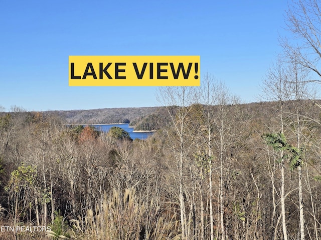 LOT10, 11 Stoney Point Rd, Byrdstown TN, 38549 land for sale