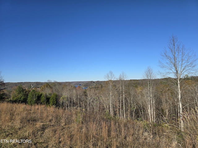 Listing photo 2 for LOT10, 11 Stoney Point Rd, Byrdstown TN 38549