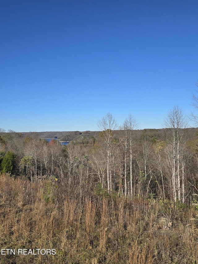 Listing photo 3 for LOT10, 11 Stoney Point Rd, Byrdstown TN 38549