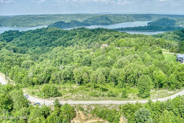 LOT10, 11 Stoney Point Rd, Byrdstown, TN 38549 - photo 1