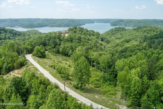 LOT10, 11 Stoney Point Rd, Byrdstown, TN 38549 - photo 4