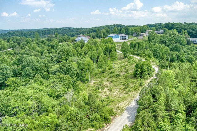 LOT10, 11 Stoney Point Rd, Byrdstown, TN 38549 - photo 5