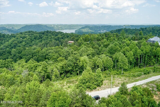 LOT10, 11 Stoney Point Rd, Byrdstown, TN 38549 - photo 6