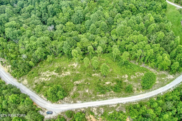 LOT10, 11 Stoney Point Rd, Byrdstown, TN 38549 - photo 2