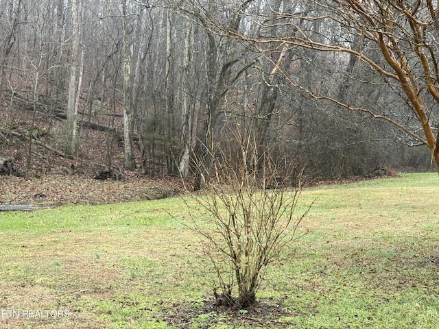 Listing photo 2 for 117 Old Buck Creek Rd, Kingston TN 37763