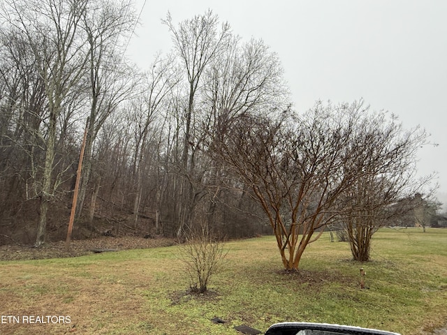 Listing photo 3 for 117 Old Buck Creek Rd, Kingston TN 37763