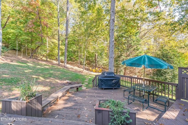 deck with grilling area