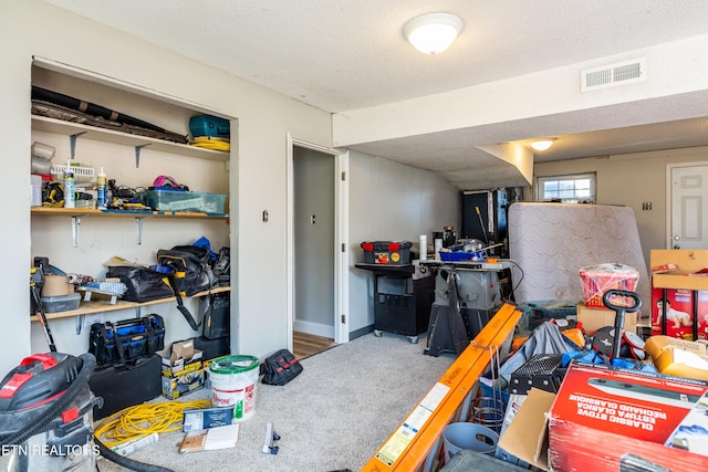 basement featuring carpet and a textured ceiling