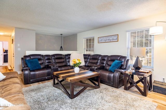 living room featuring wood-type flooring and a textured ceiling