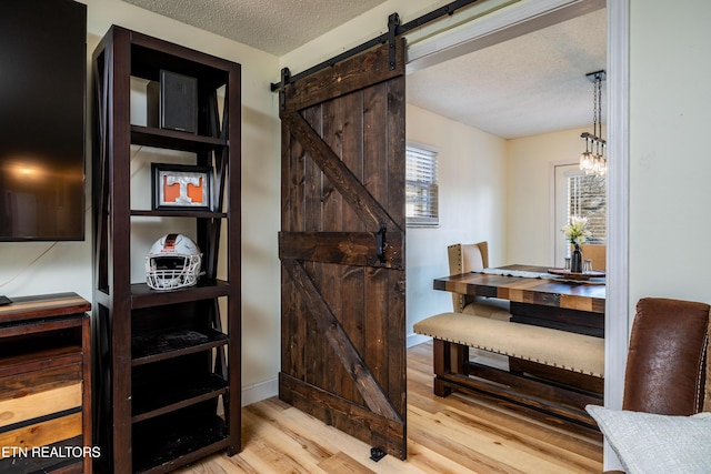 interior space with plenty of natural light, a barn door, light hardwood / wood-style floors, and a textured ceiling