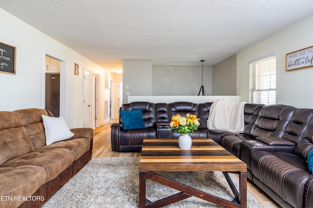 living room featuring light hardwood / wood-style flooring and a textured ceiling