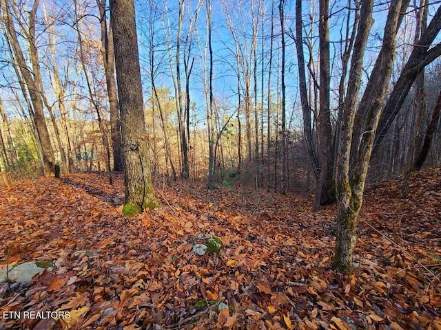 LOT9 Walden Flats Way, Sevierville TN, 37862 land for sale