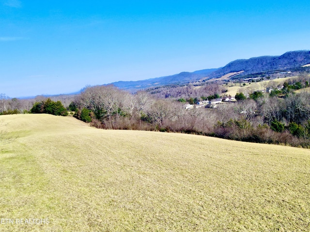 Listing photo 2 for Magdaline Ln, Tazewell TN 37879