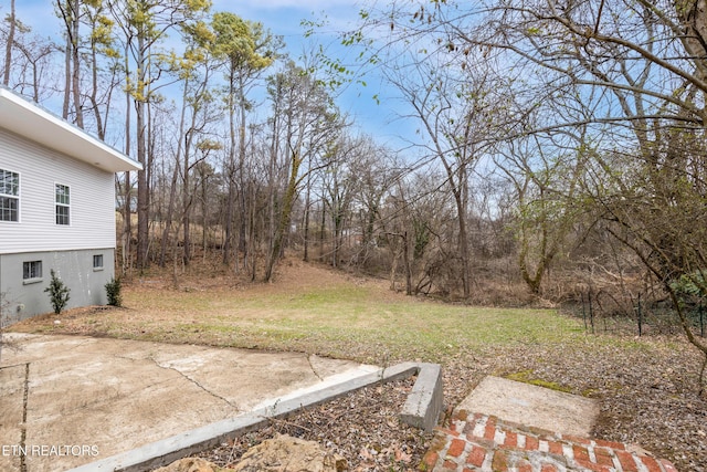 view of yard with a patio