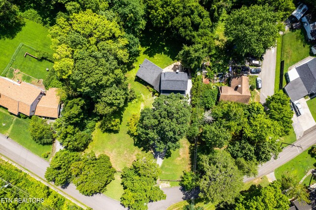 5902 Dogwood Rd, Knoxville, TN 37918 - photo 39
