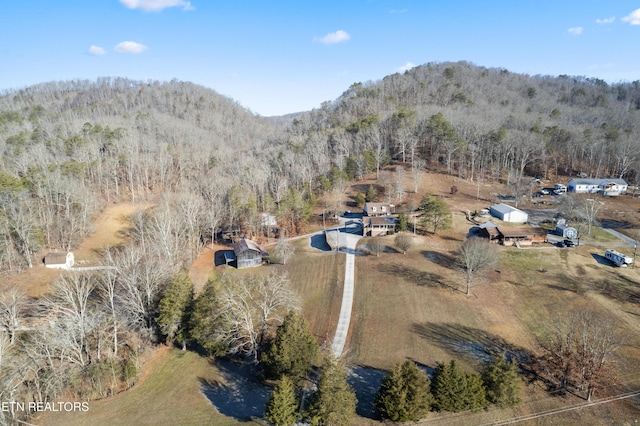 birds eye view of property featuring a rural view and a mountain view