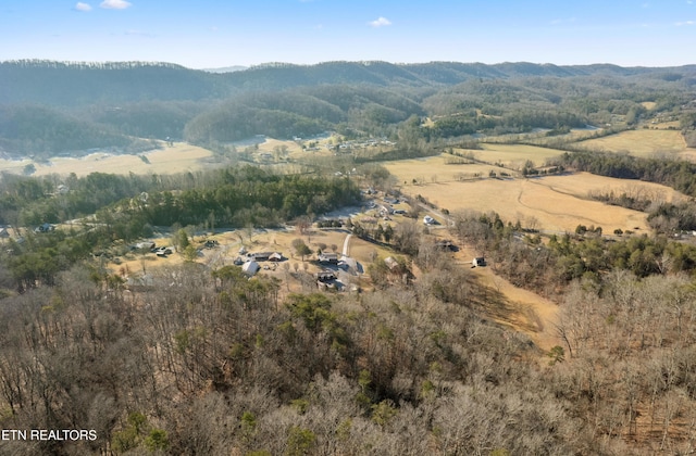 drone / aerial view featuring a mountain view