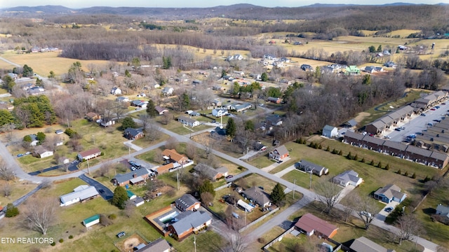 drone / aerial view
