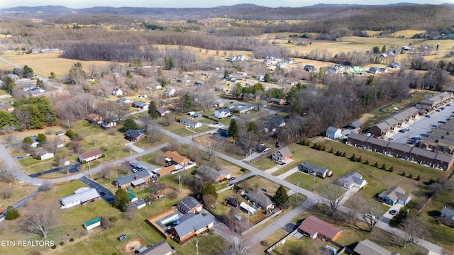 drone / aerial view