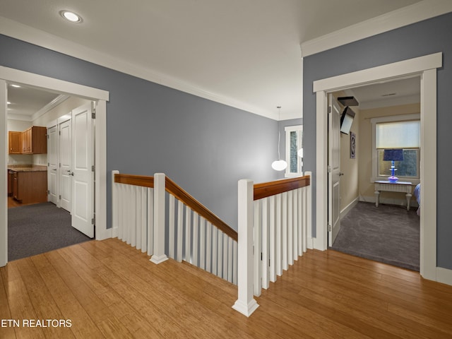 hallway with crown molding and hardwood / wood-style flooring