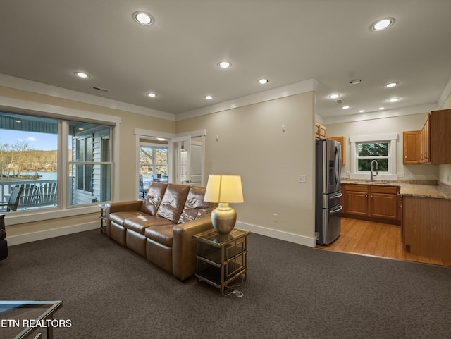 carpeted living room featuring ornamental molding and sink