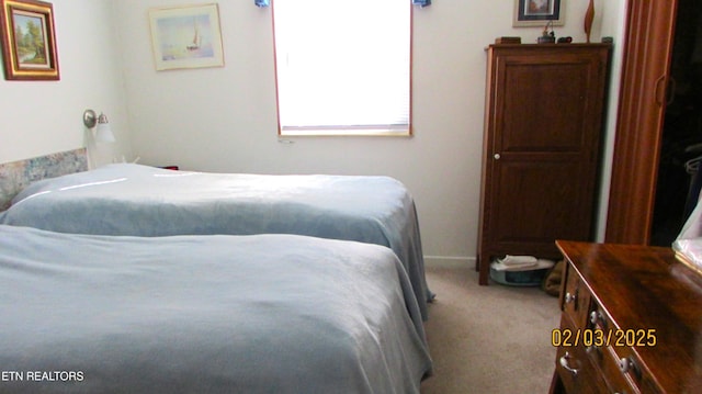 bedroom featuring carpet