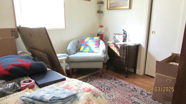 bedroom with wood-type flooring