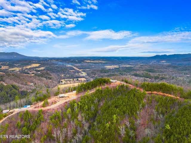 aerial view with a mountain view