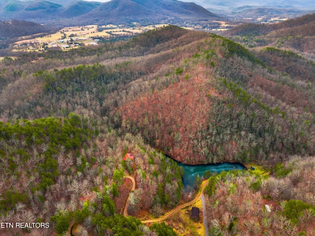 aerial view with a mountain view